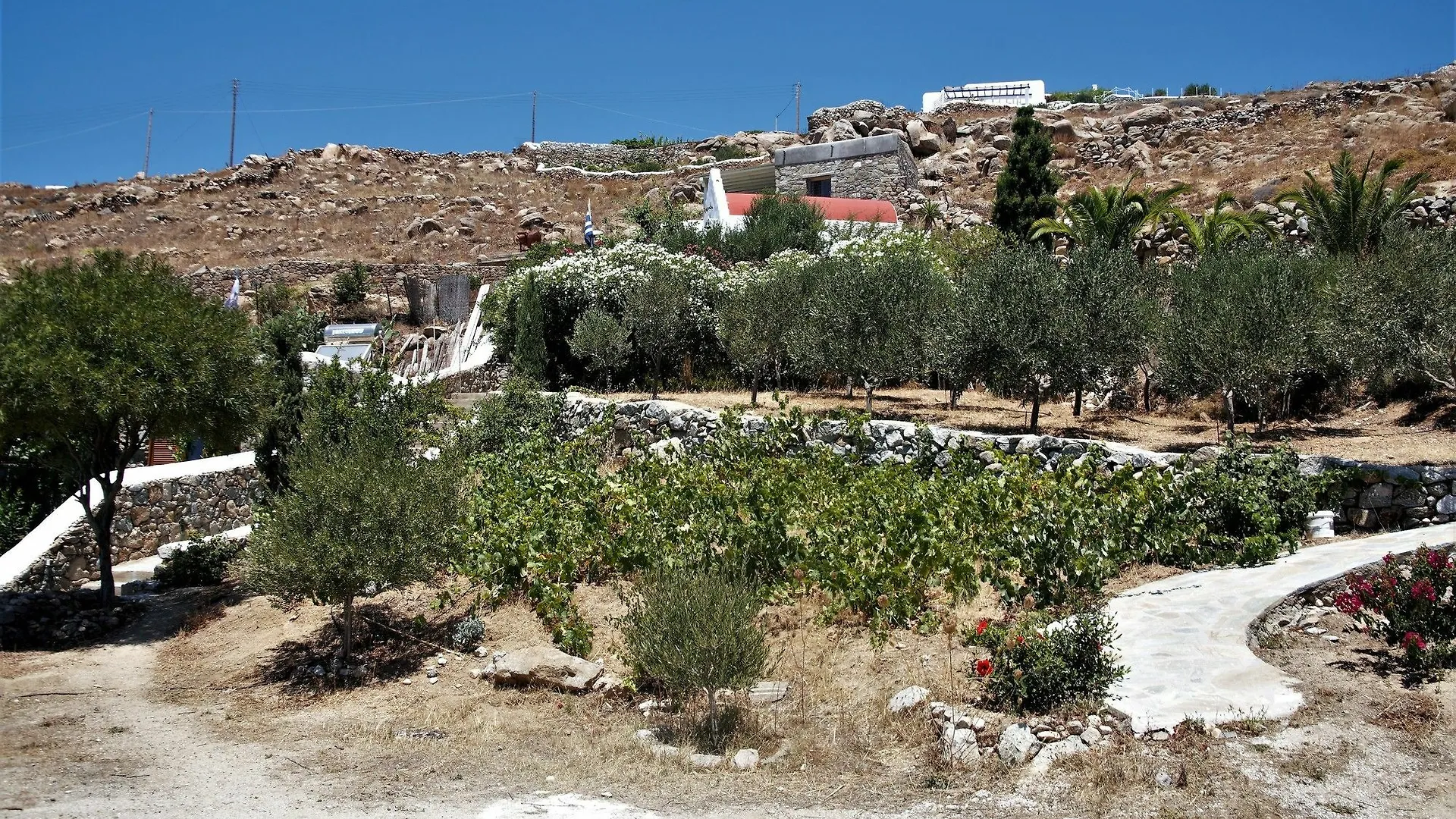 فيلا ميكونوس موسى Agios Ioannis Diakoftis