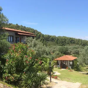 https://villa-rena.hotelschalkidiki.net